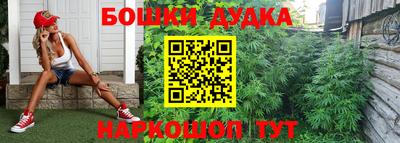 мяу мяу мука Ставрополь