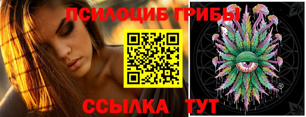 Орёл  Галлюциногенные грибы Psilocybe  Вход с VPN  Галлюциногенные грибы прущие грибы 